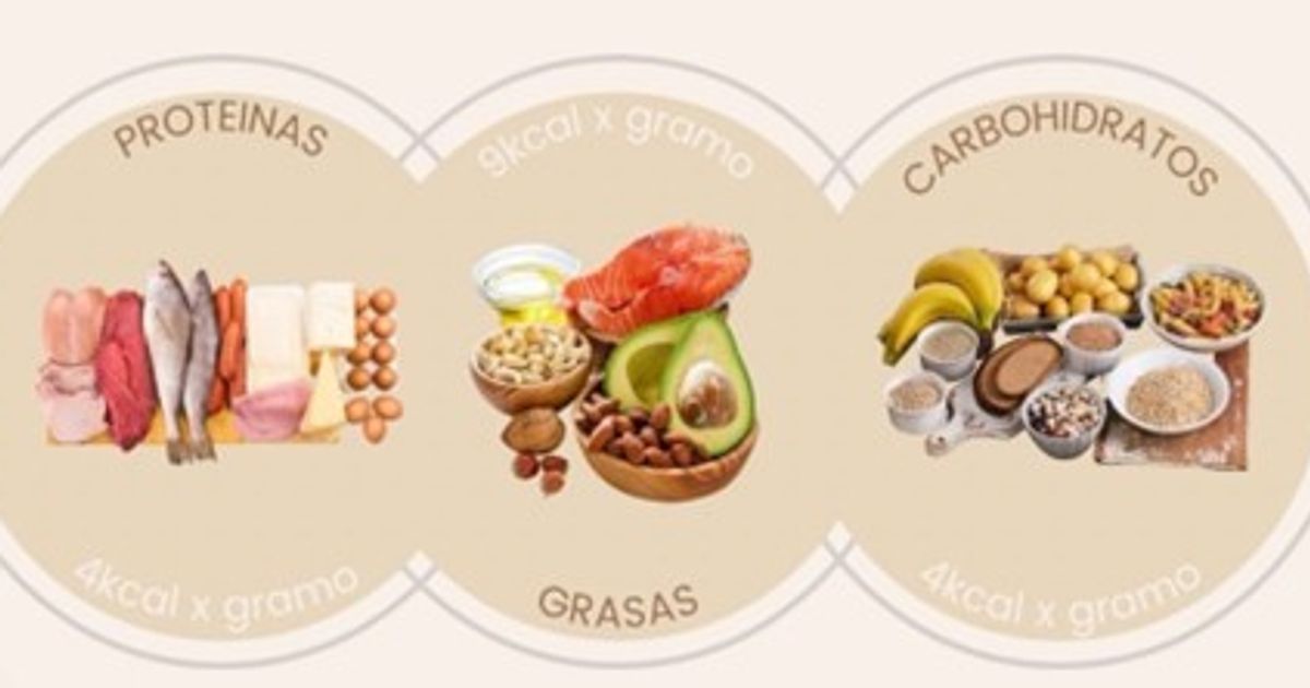 Macronutrientes: qué son, tipos y cómo influyen en el rendimiento deportivo