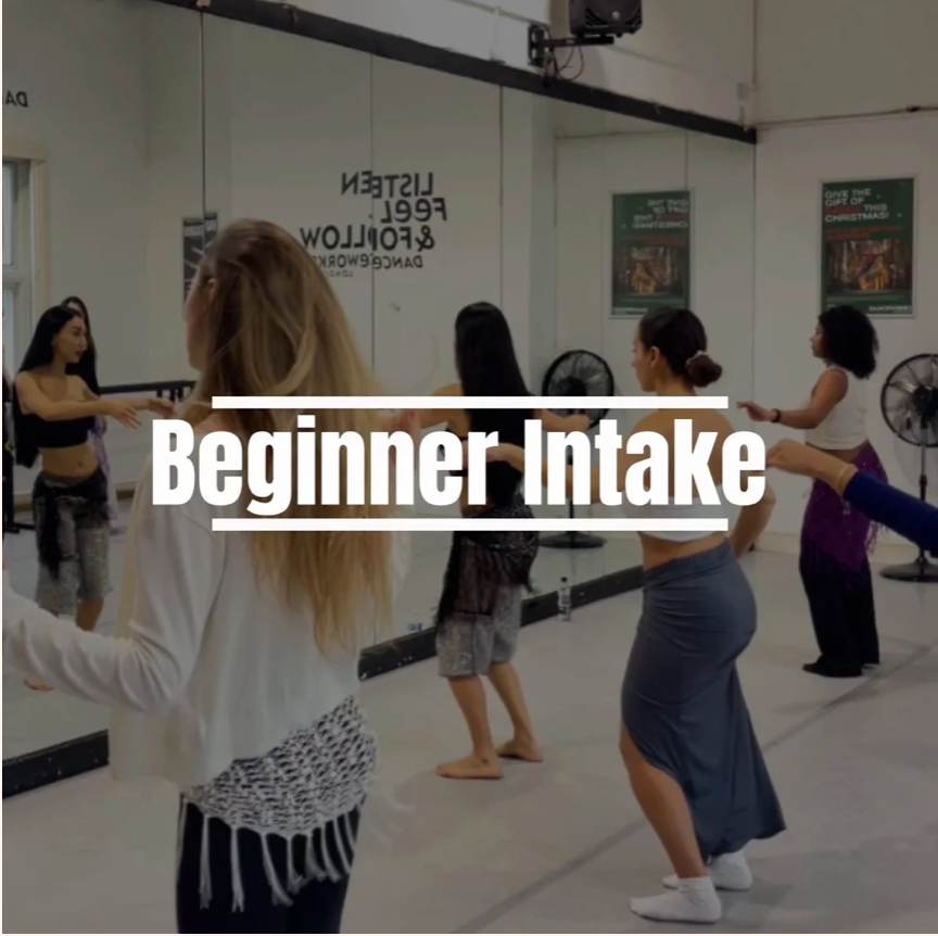 Beginner belly dance class