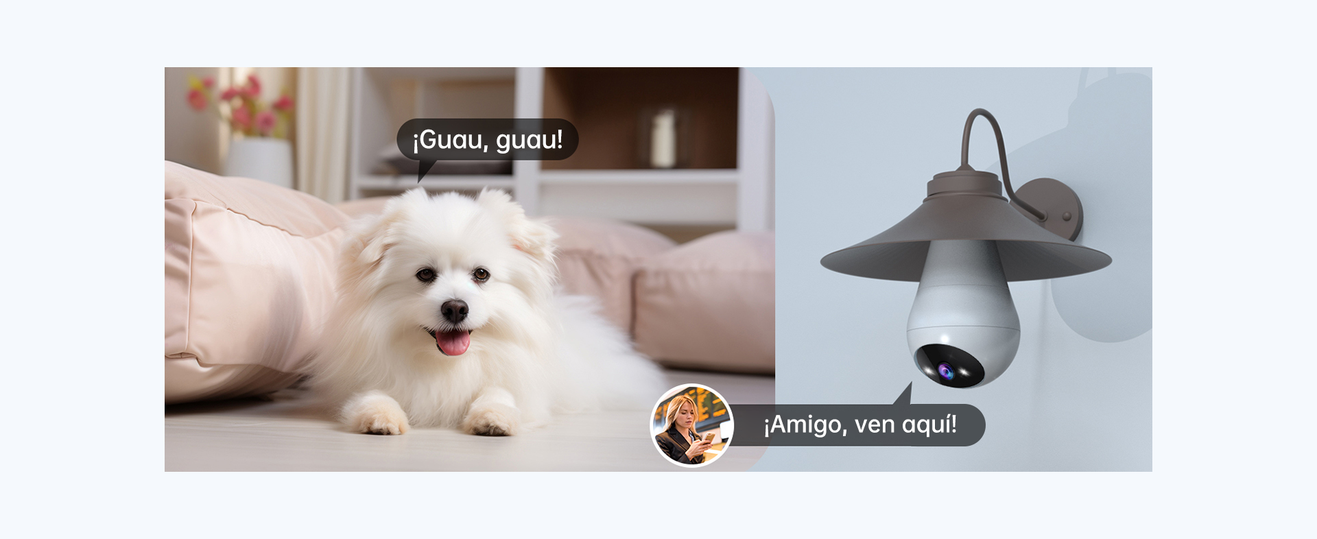Descripción general