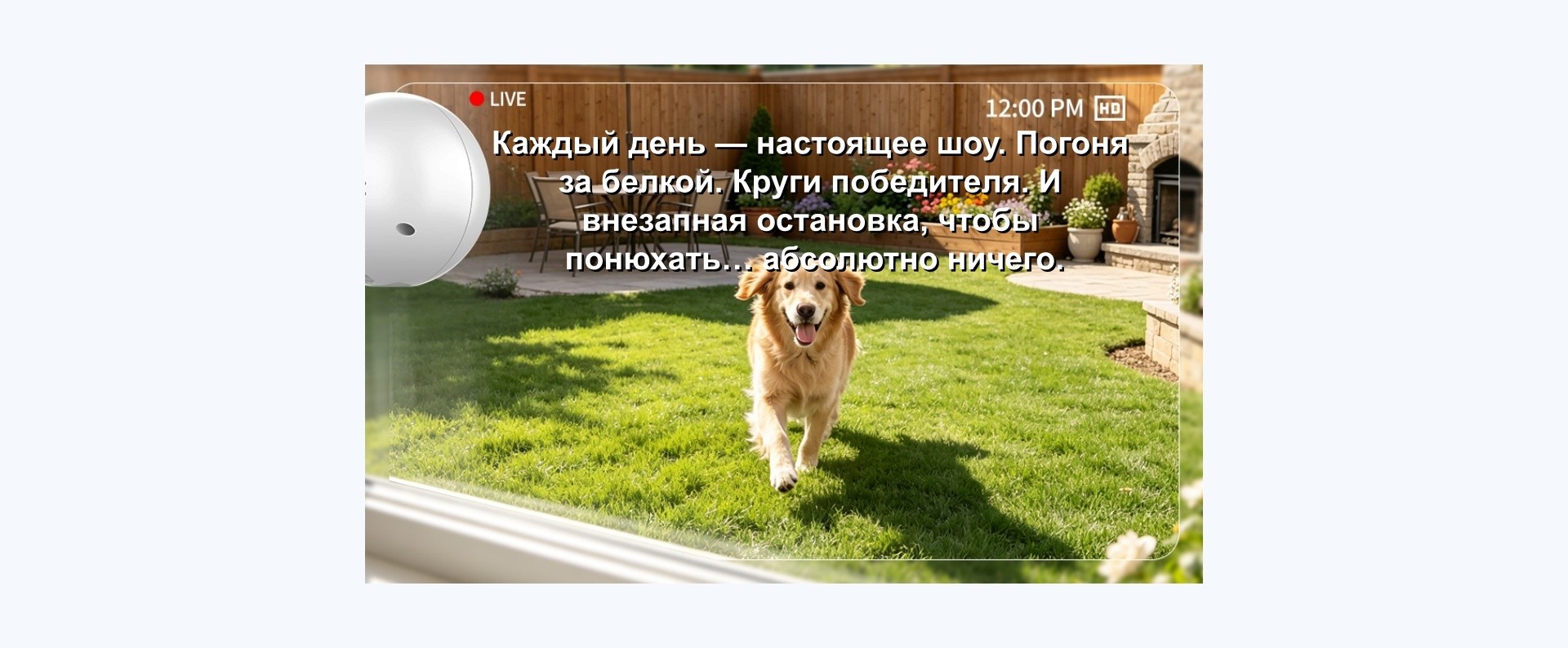 Обзор