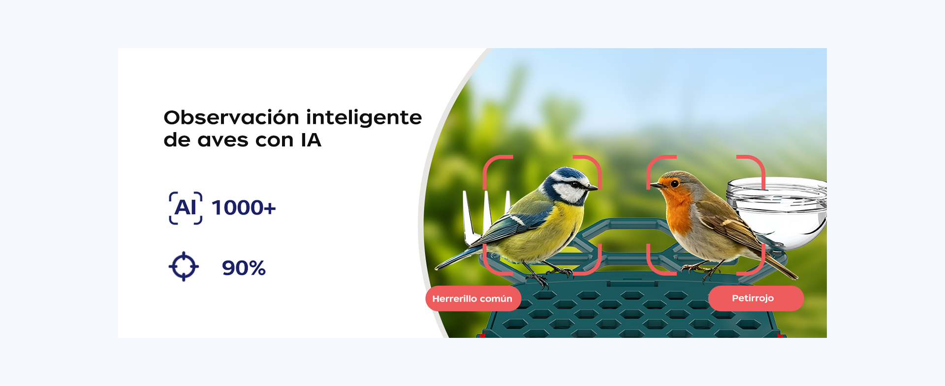 Descripción general
