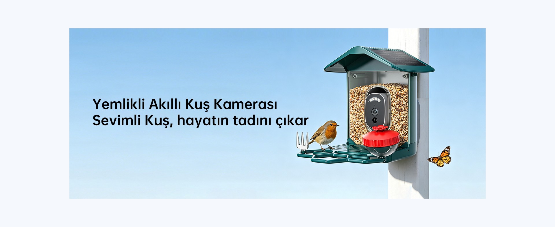 Genel Bakış