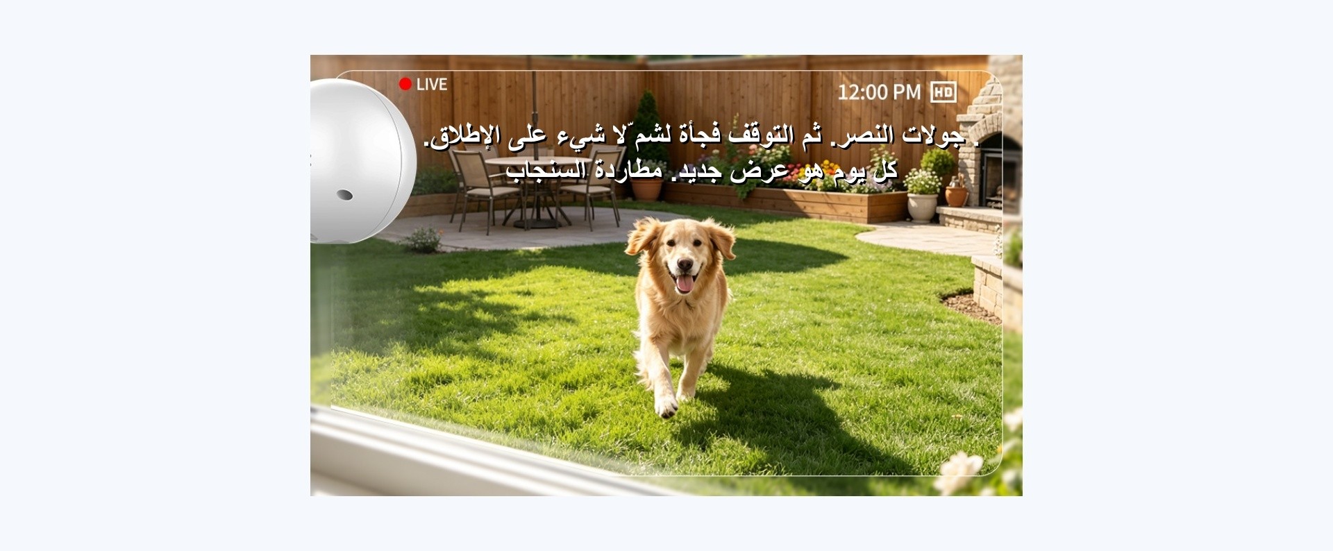 نظرة عامة