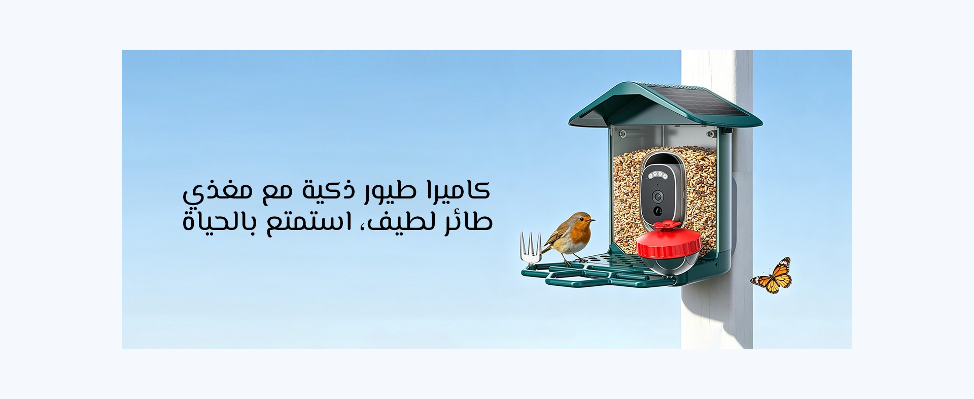 نظرة عامة