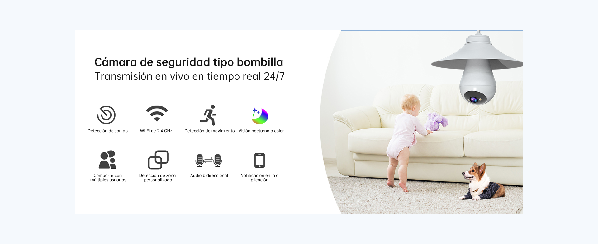 Descripción general