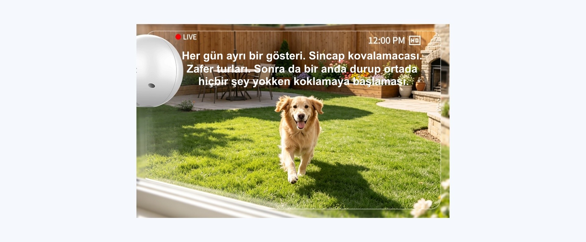 Genel Bakış