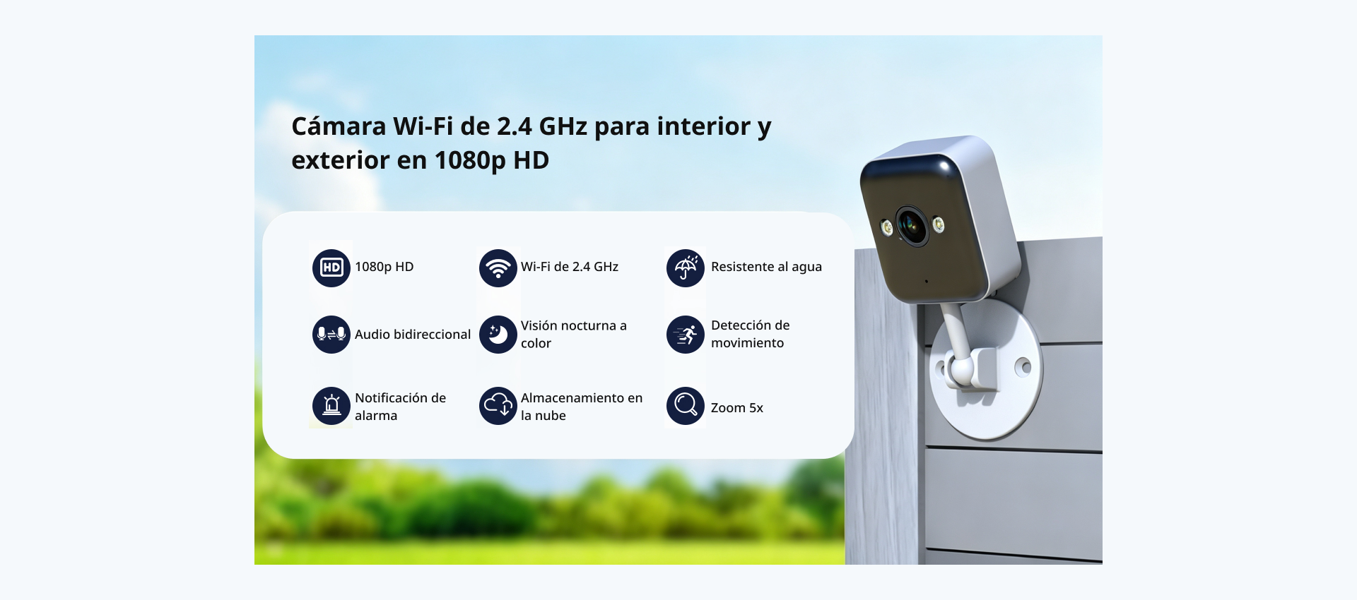 Descripción general