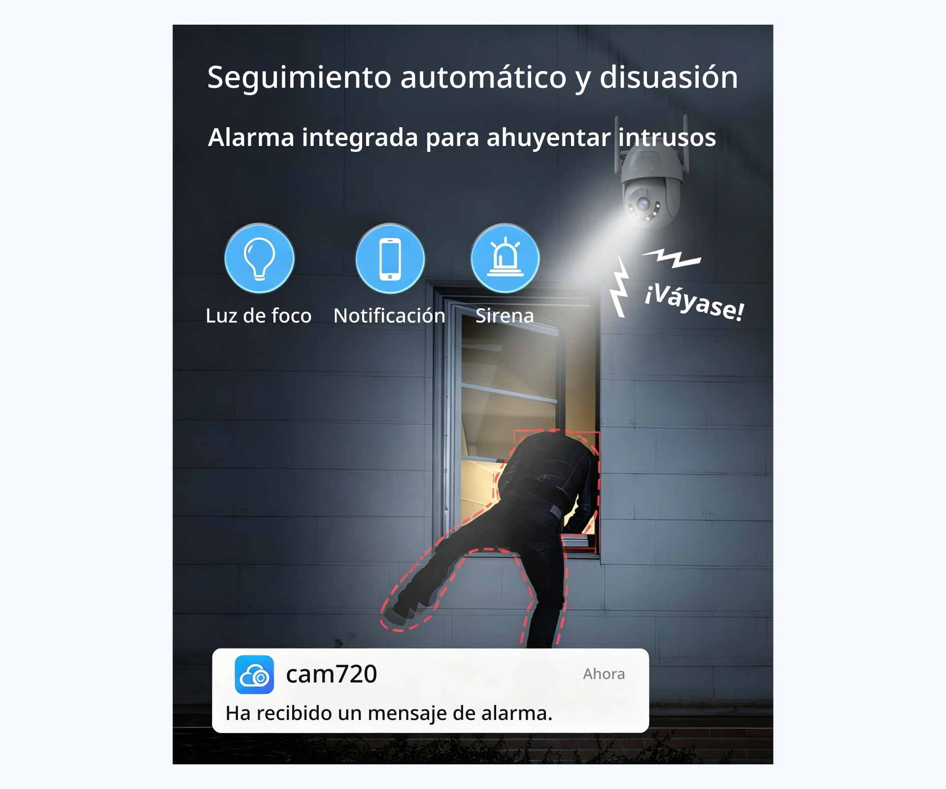 Descripción general