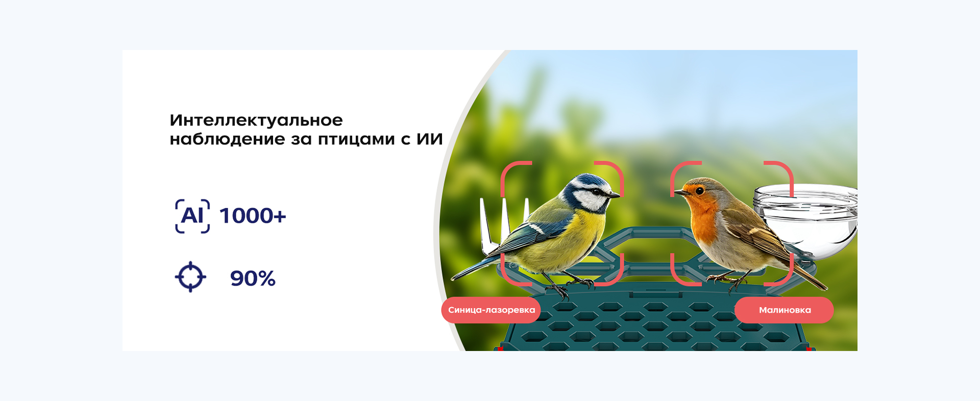 Обзор