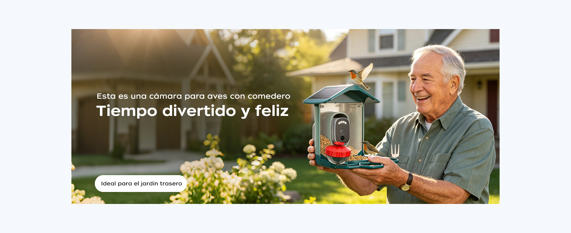 Descripción general