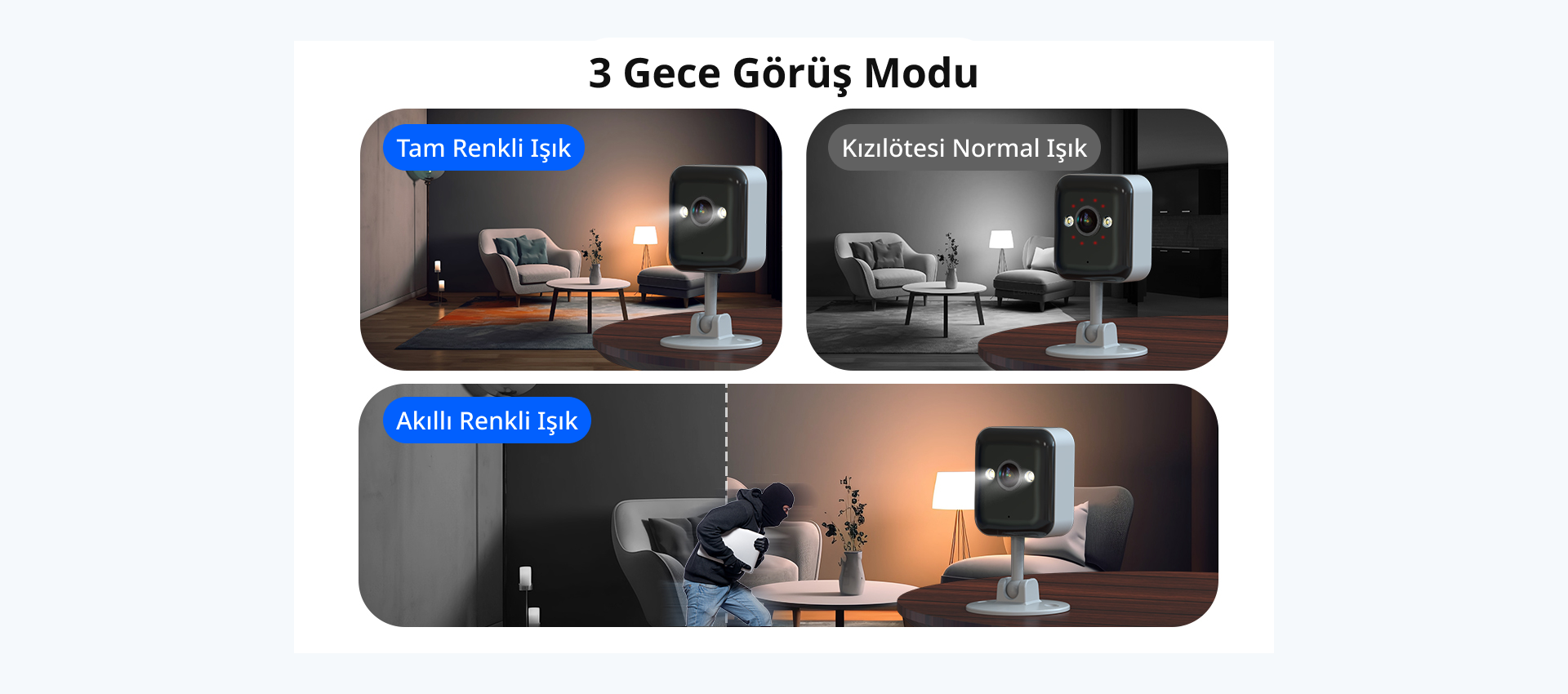 Genel Bakış