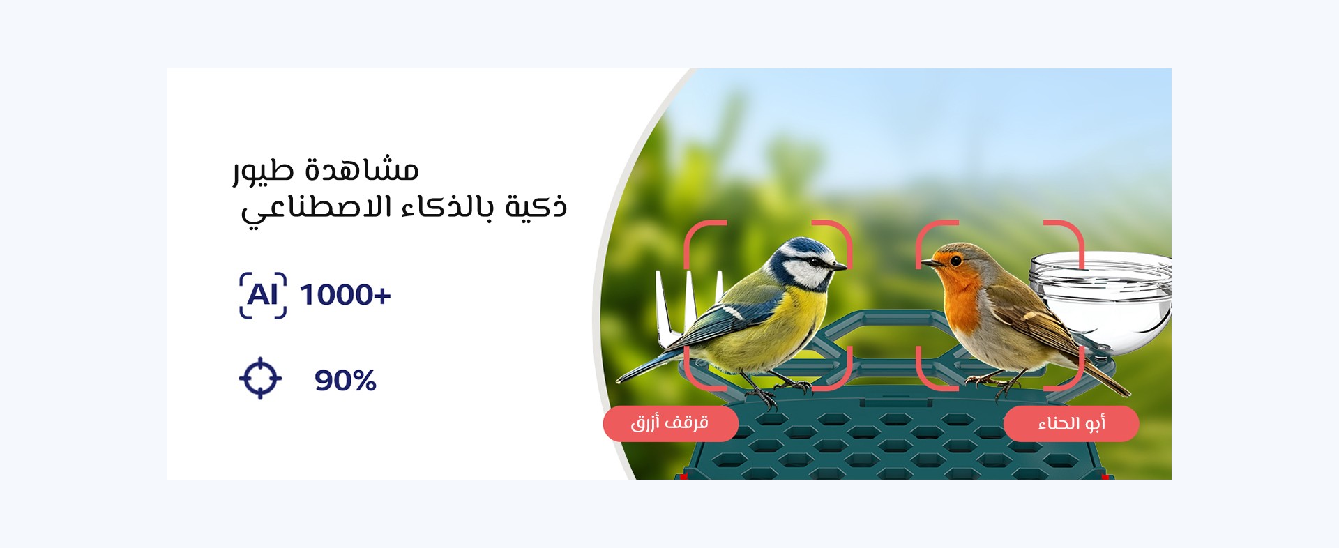 نظرة عامة