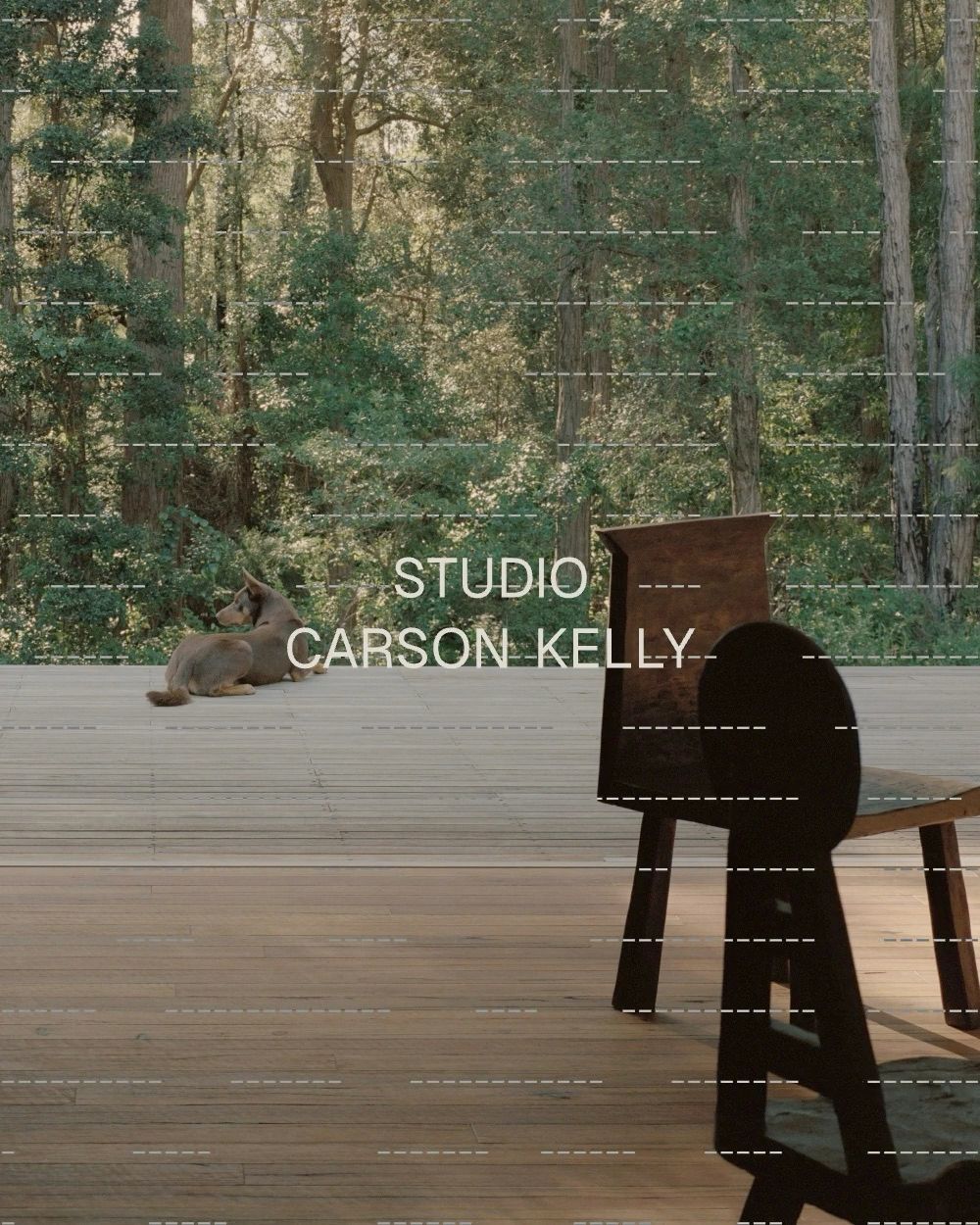 Dog on a timber deck facing forest, with STUDIO CARSON KELLY over a dashed grid.