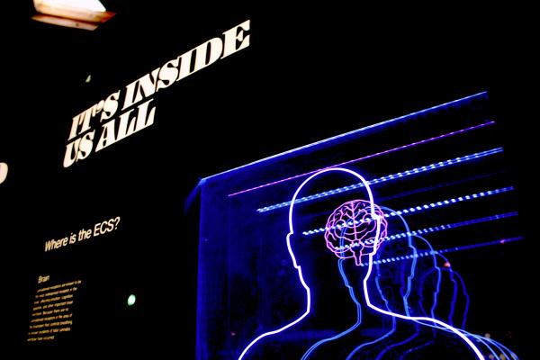 It's a dark cool therpay diagram with bold text reading "It's Inside Us All"