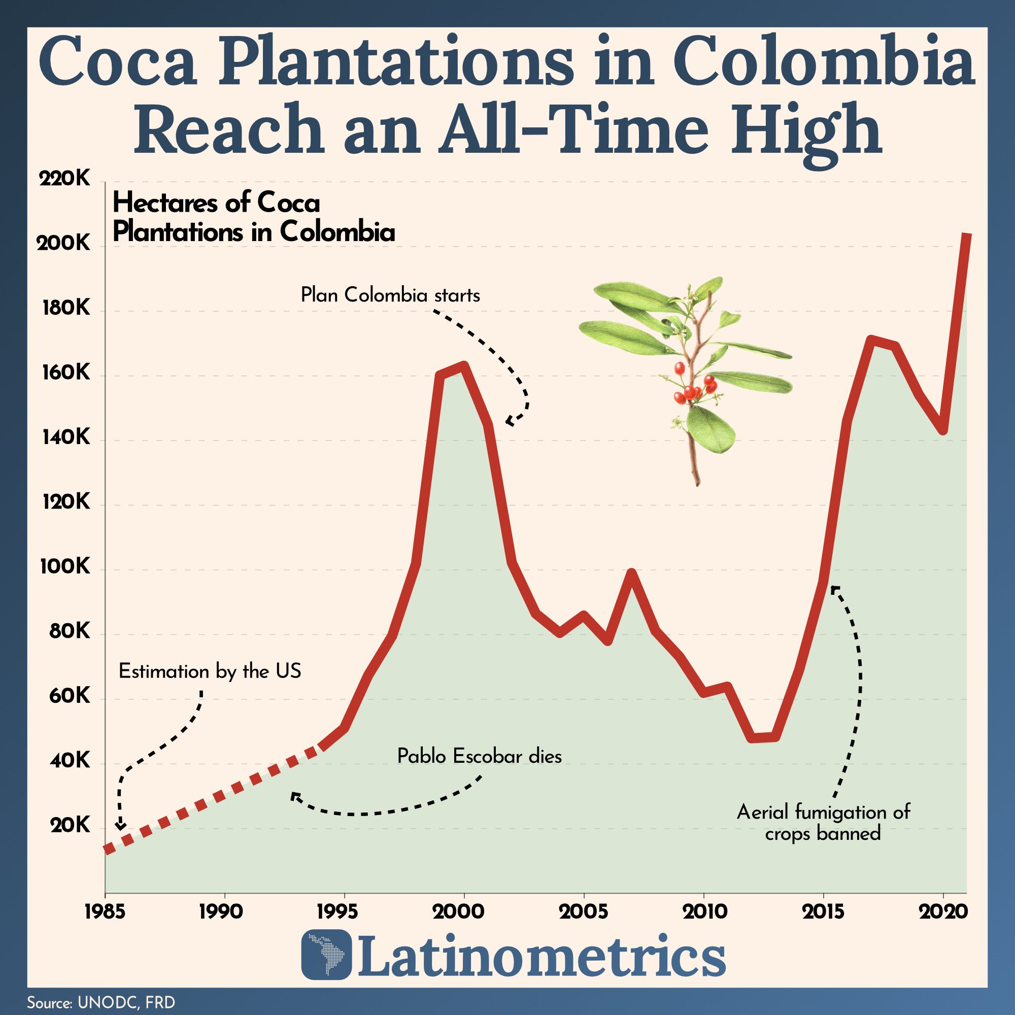 Coca Plantations in Colombia Reach an All-Time High