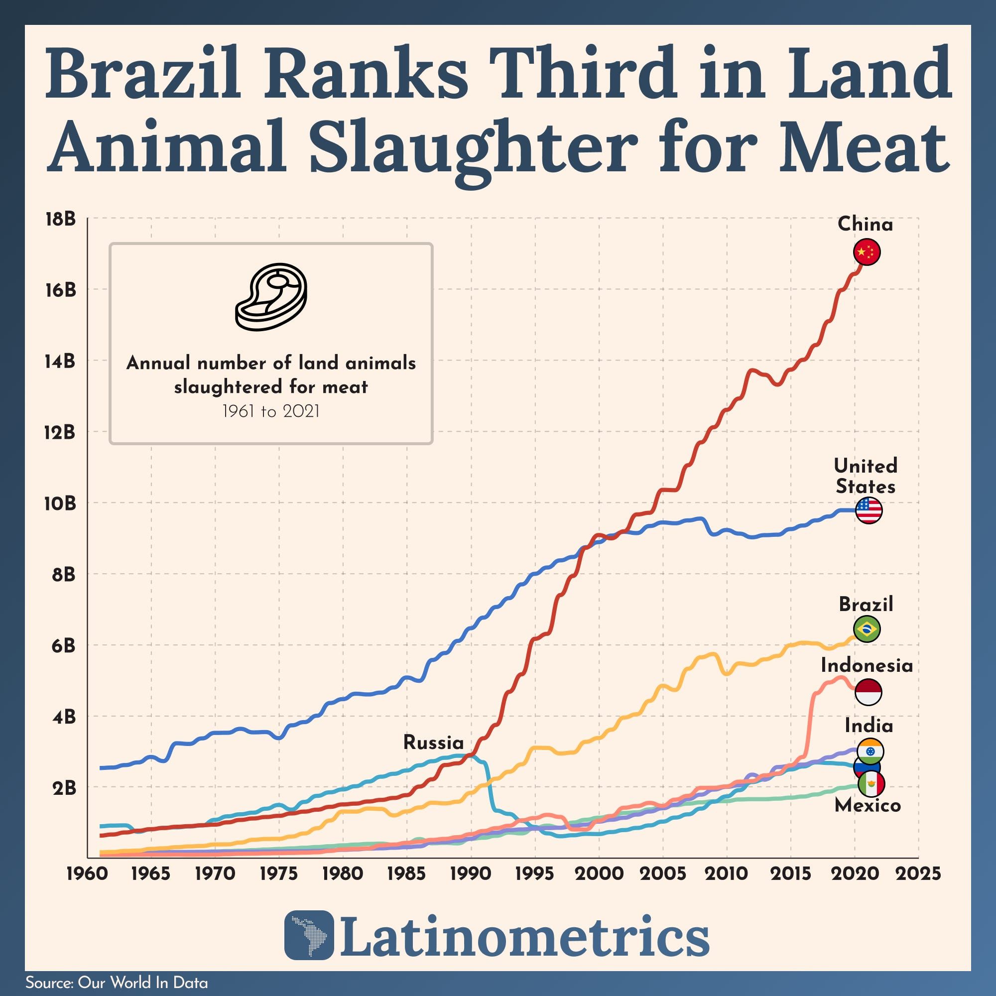 📊 Animal Slaughter