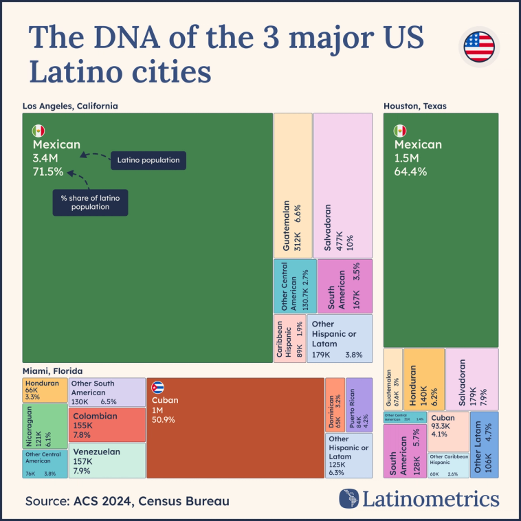 Multi-panel treemap showcasing the localized dominance of distinct Latino origin groups in major US cities | Sources: Latinometrics