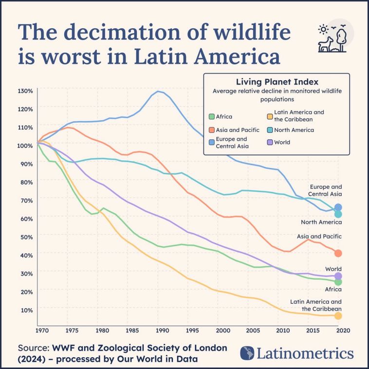 Line graph comparing the average relative decline in monitored wildlife populations across regions, showing the decimation of wildlife is worst in Latin America | Sources: WWF and Zoological Society of London (2024) - processed by Our World in Data, Latinometrics