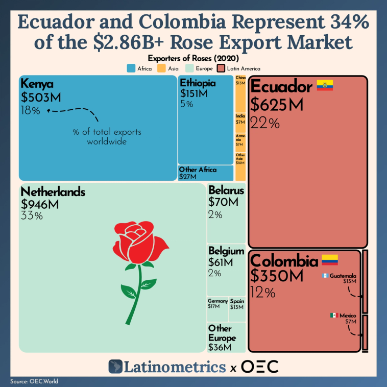 Treemap comparing rose exporters worldwide, showing Ecuador and Colombia together represent a significant portion of the global market | Sources: OEC.World, Latinometrics
