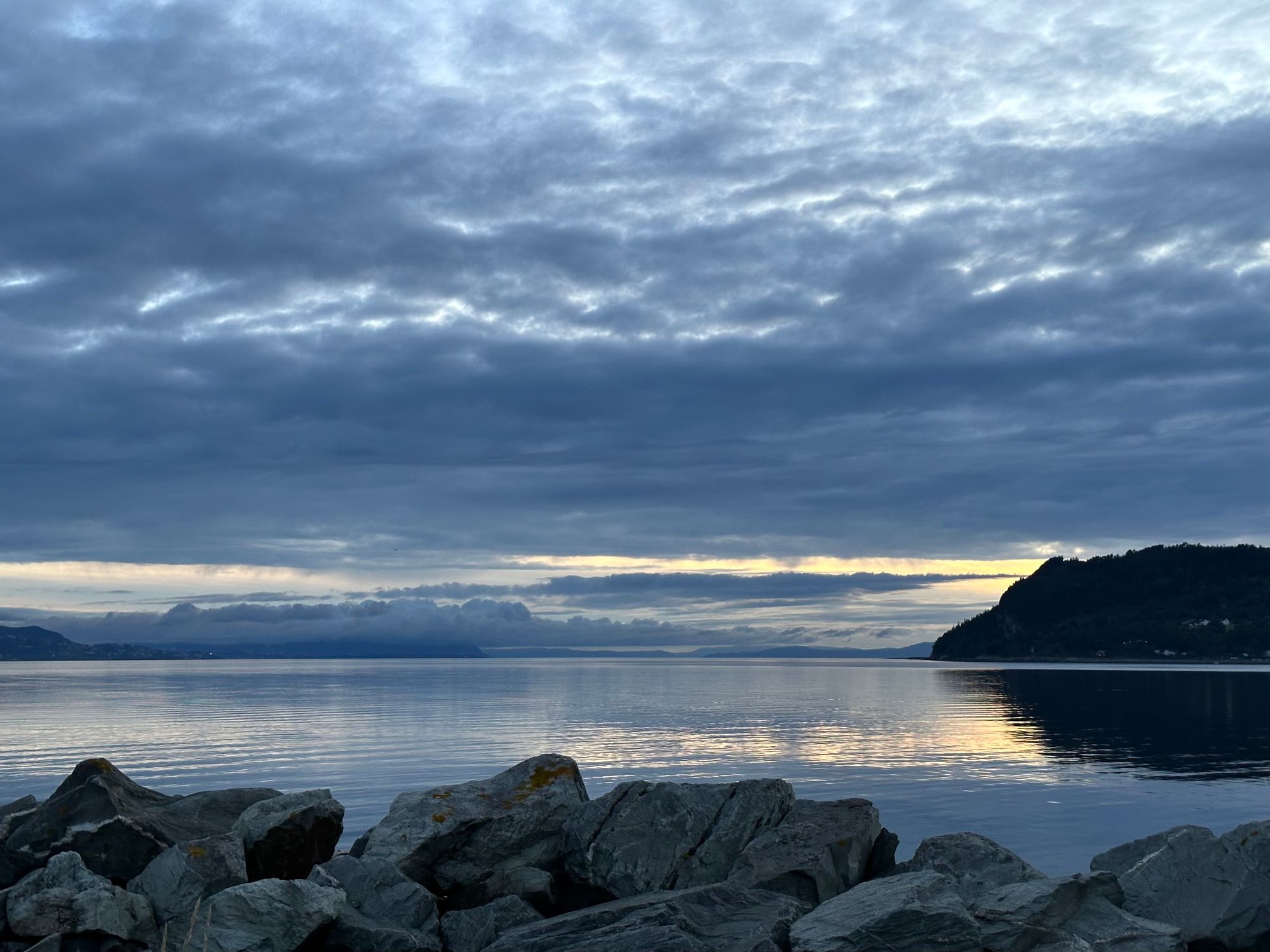Bilde av vannkanten i Trondheimsfjorden ved Stjørdal.