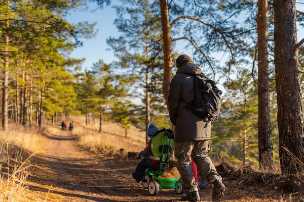 Bilde av en far på tur i skogen med et barn på trehjulssykkel.