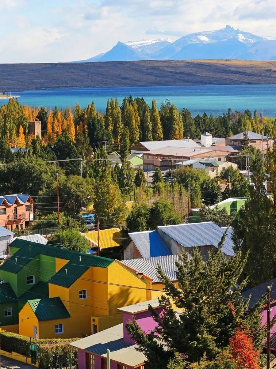 CALAFATE — GLACIARES DEL FIN DEL MUNDO - 1
