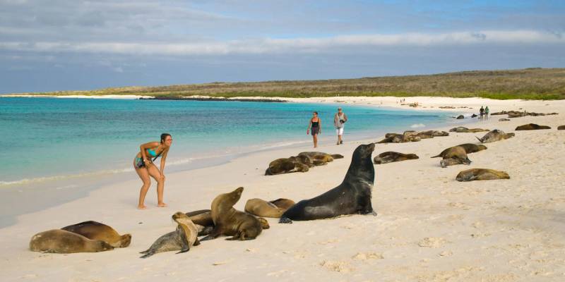 GALÁPAGOS 360