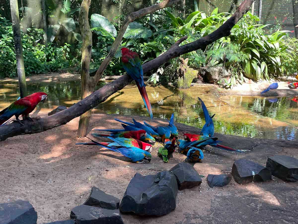 BUENOS AIRES & IGUAZÚ 