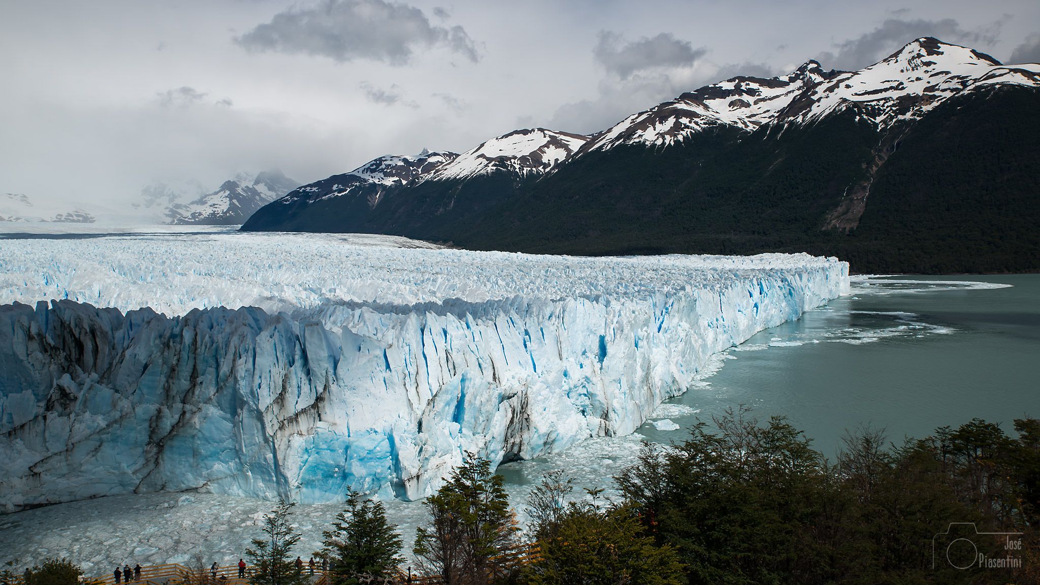 CALAFATE — GLACIARES DEL FIN DEL MUNDO