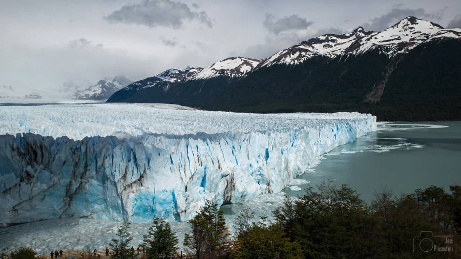 CALAFATE — GLACIARES DEL FIN DEL MUNDO - 3