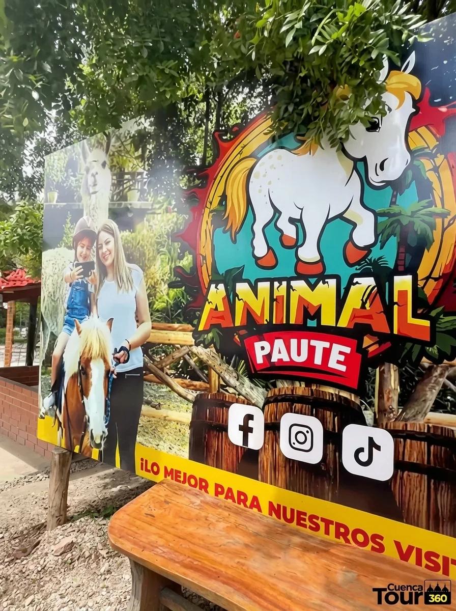 AVENTURA PAUTE 360