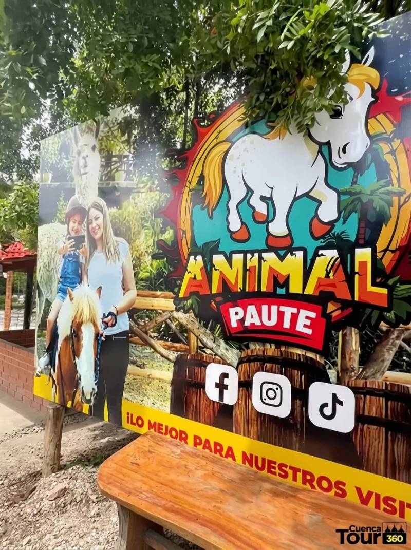 AVENTURA PAUTE 360