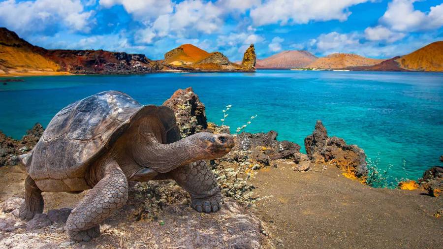 GALÁPAGOS 360 - 1