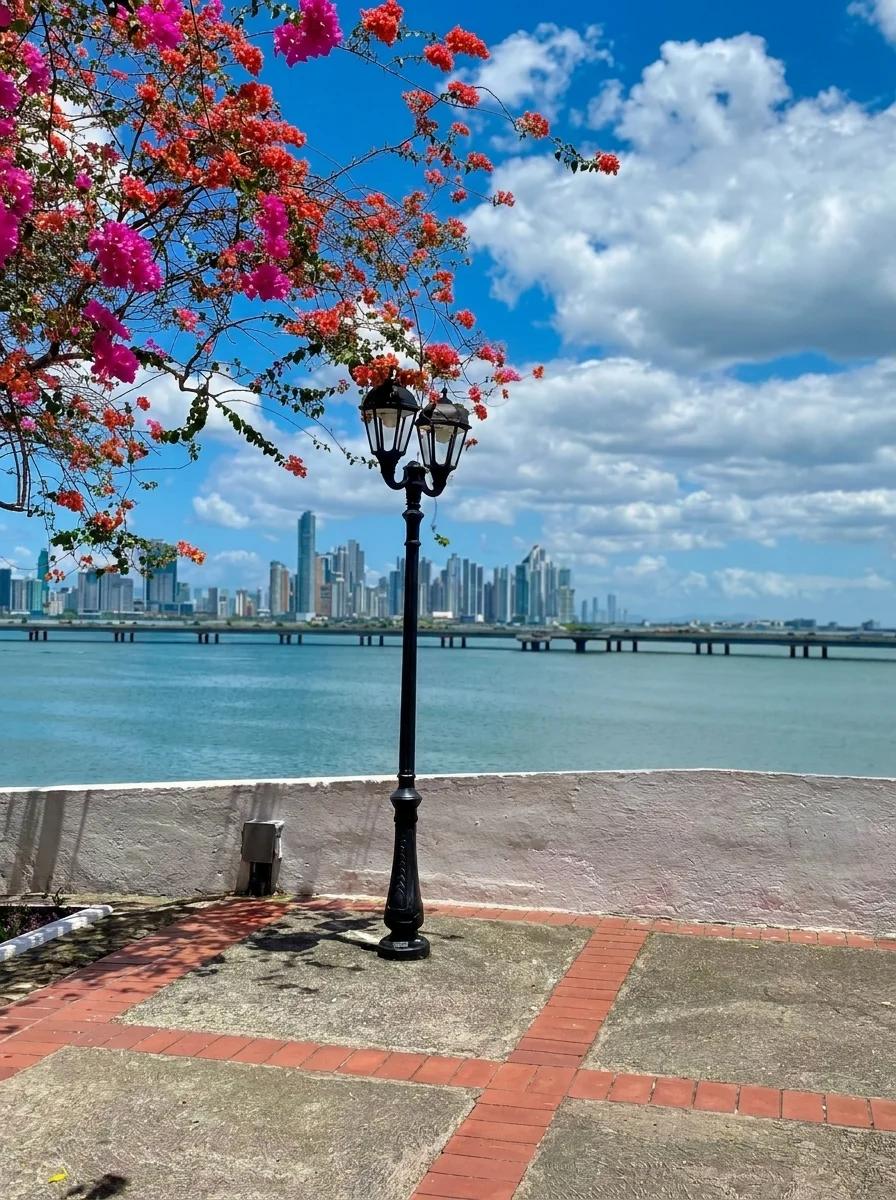 PANAMA + PUNTA CANA