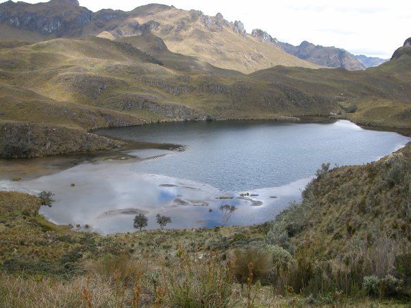 Laguna Taitachungo / Totora