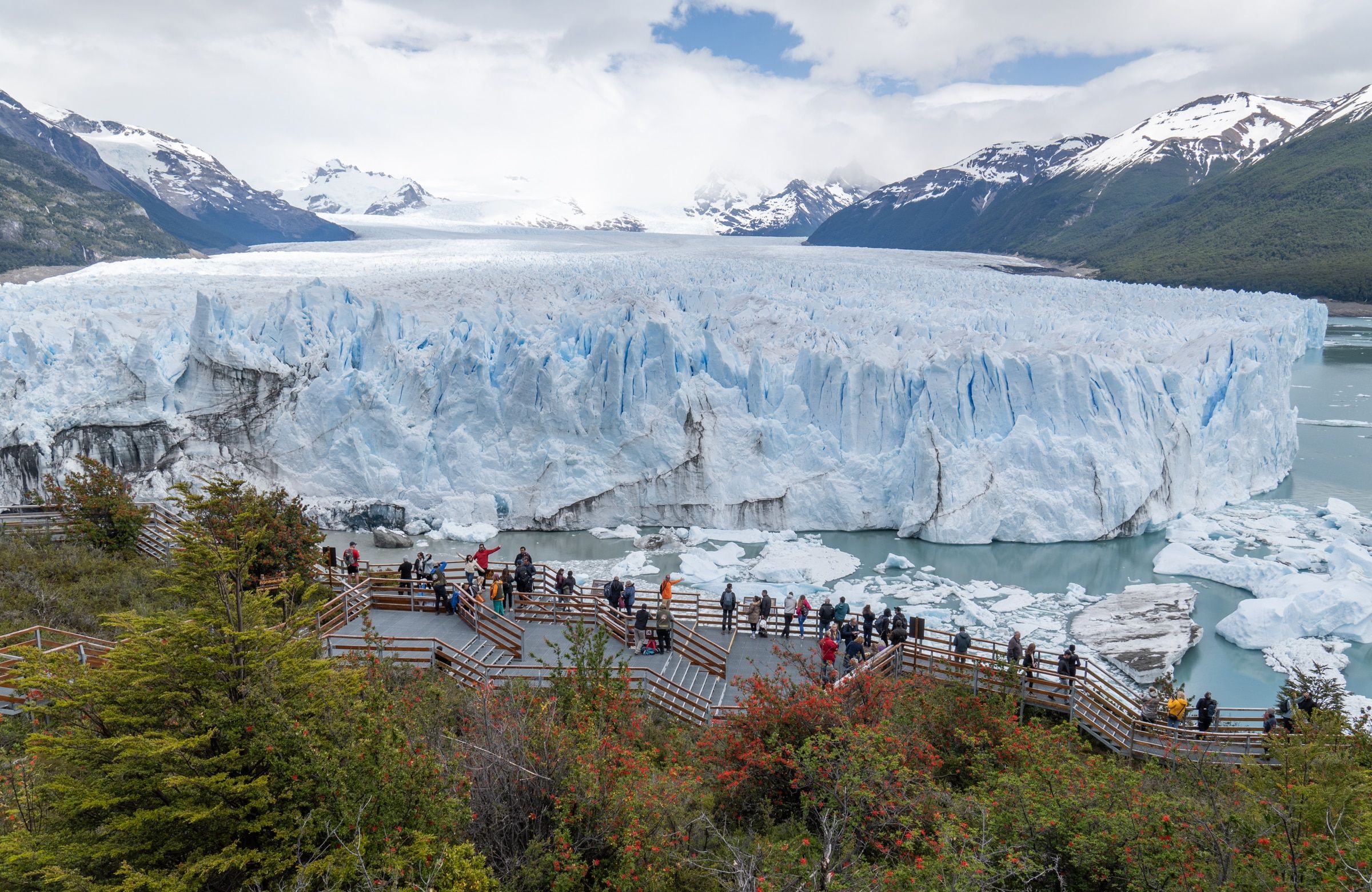 CALAFATE — GLACIARES DEL FIN DEL MUNDO