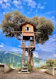Visita a la Casa del Árbol