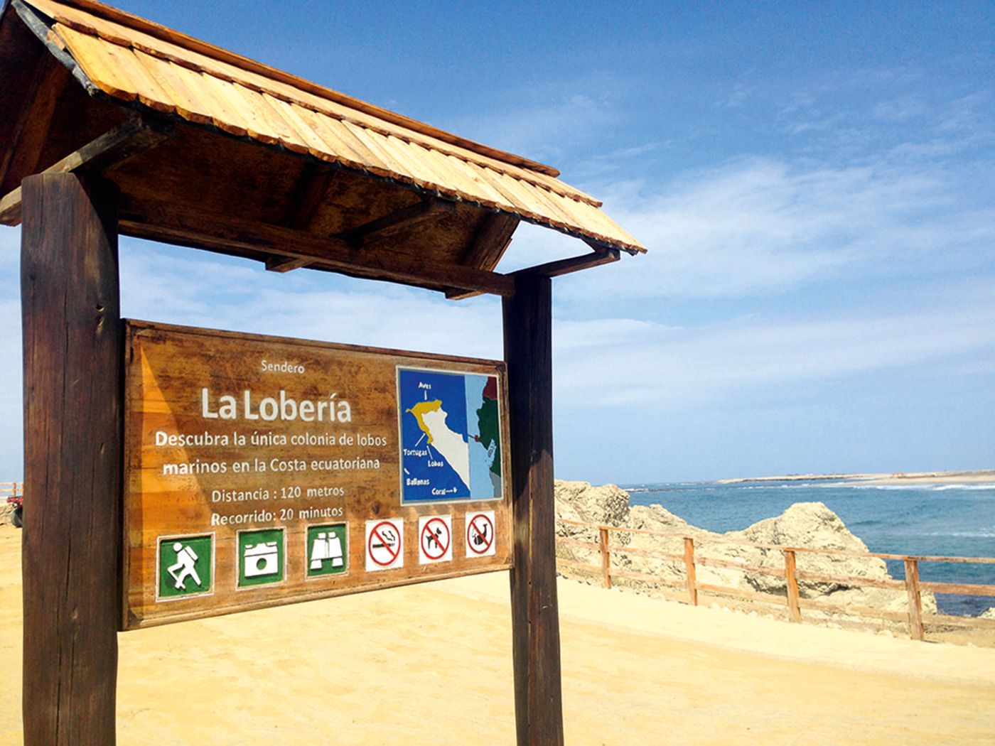 Visita a la Lobería