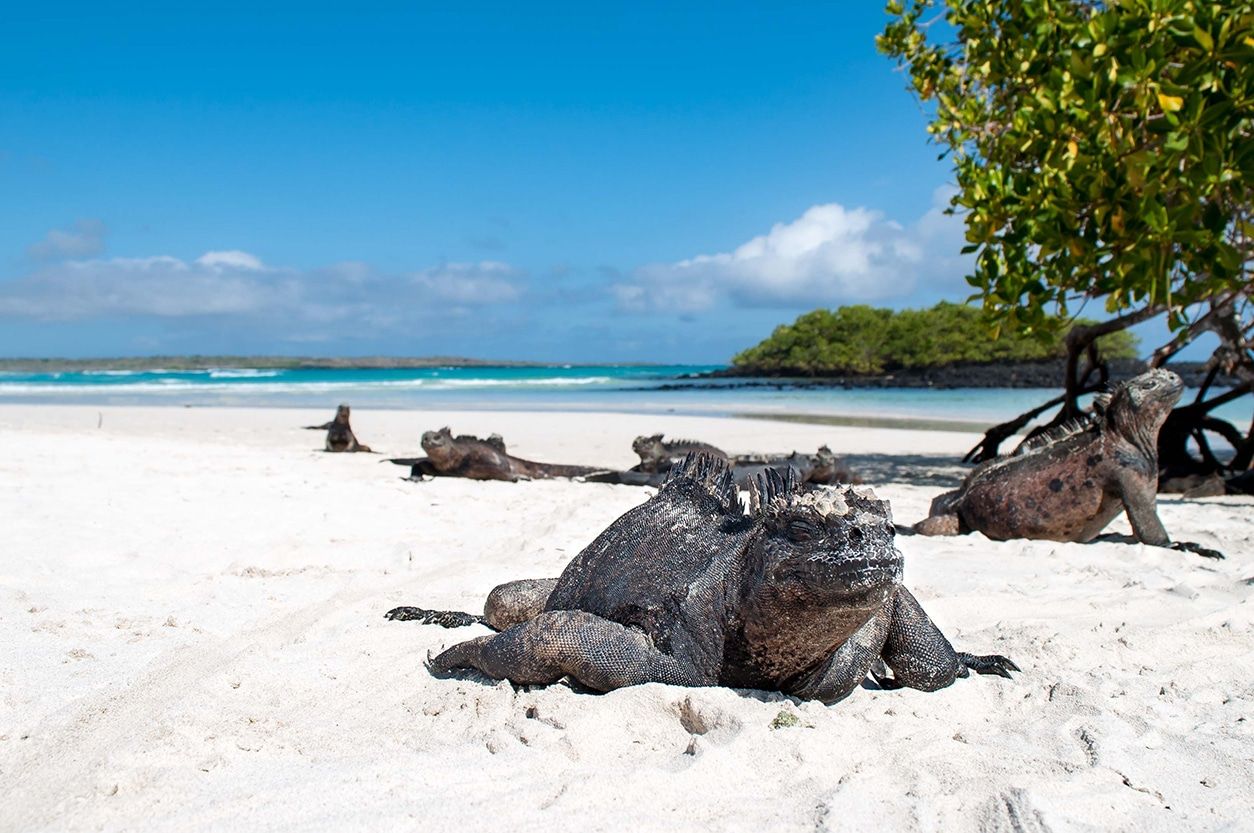 GALÁPAGOS 360