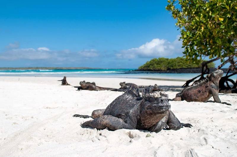 GALÁPAGOS 360