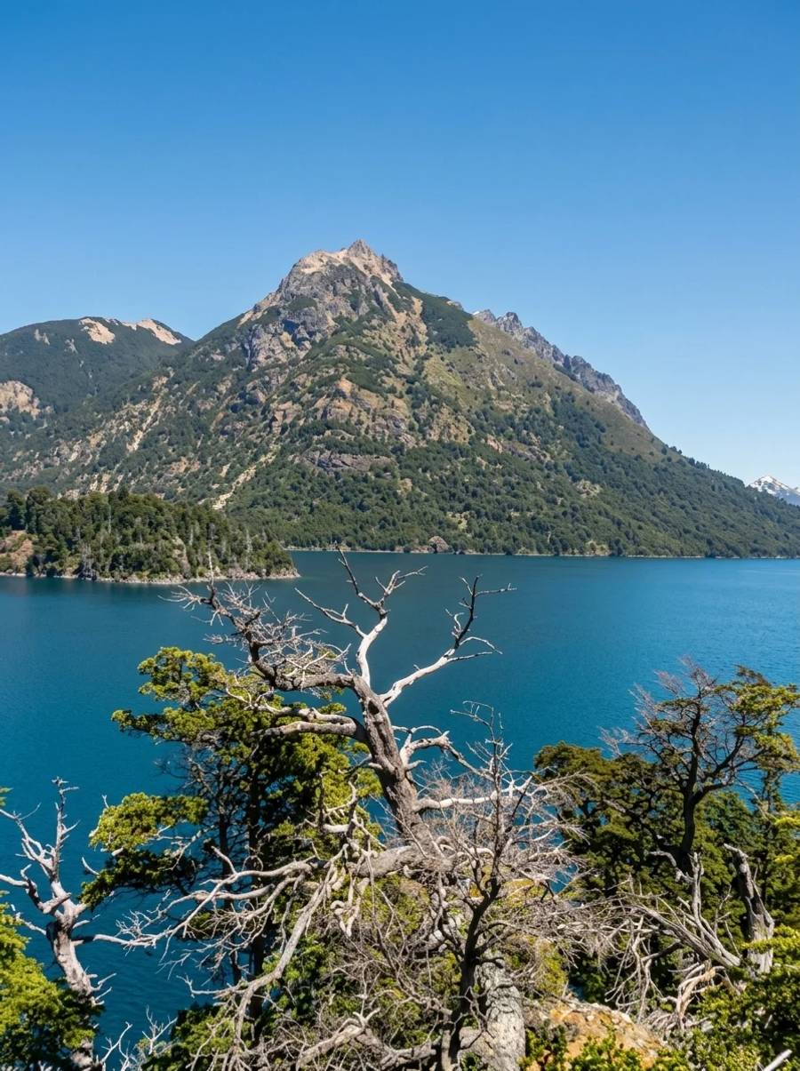 CRUCE ANDINO: BARILOCHE + PUERTO VARAS - 5