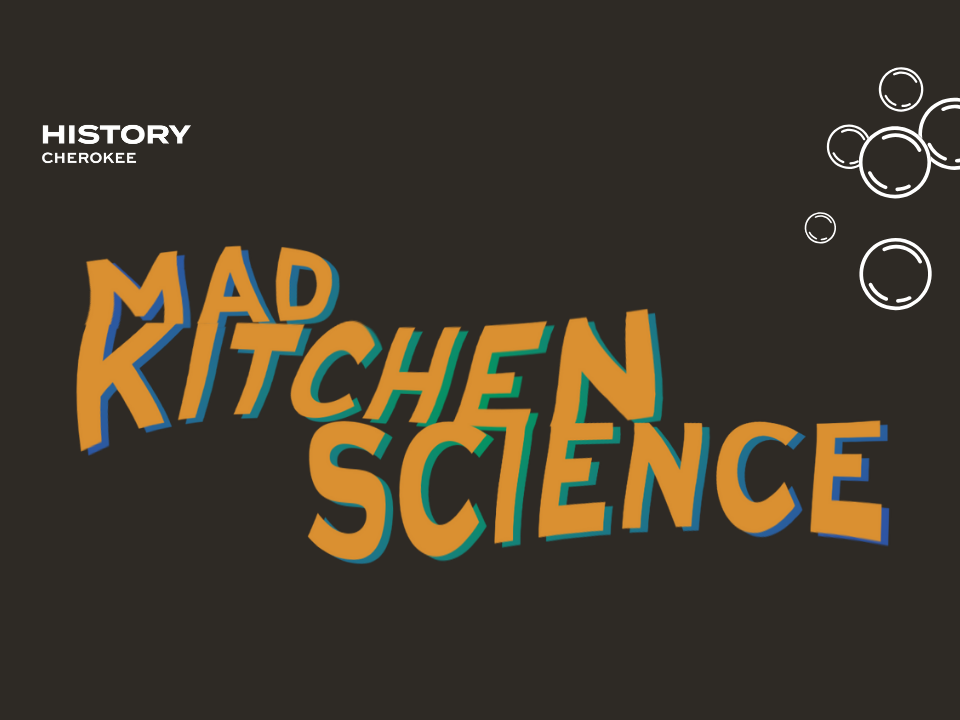 2/1: Science Saturday: Mad Kitchen Science!