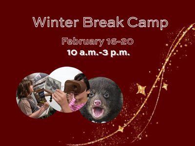 2/16-2/20: Winter Break Camp
