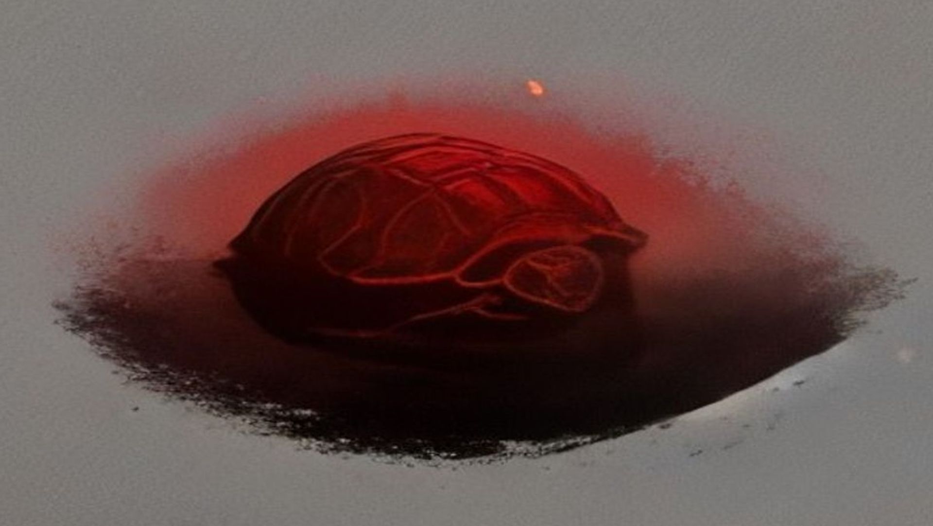 Una tortuga colosal flotando en el espacio profundo, con galaxias reflejadas en su caparazón