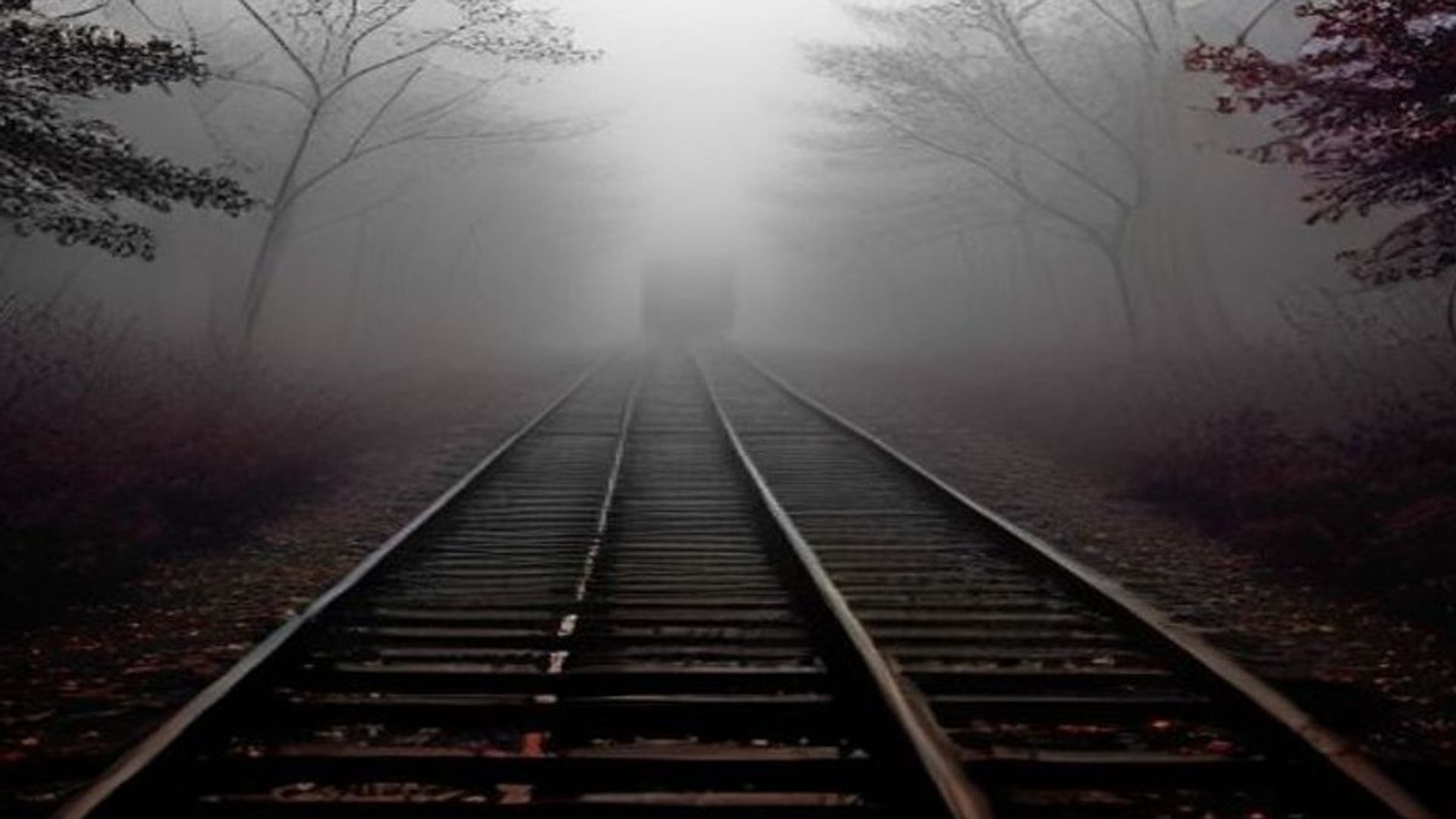 Vías de tren perdiéndose en un bosque brumoso, atmósfera nostálgica de pueblo chico norteamericano de los años cincuenta