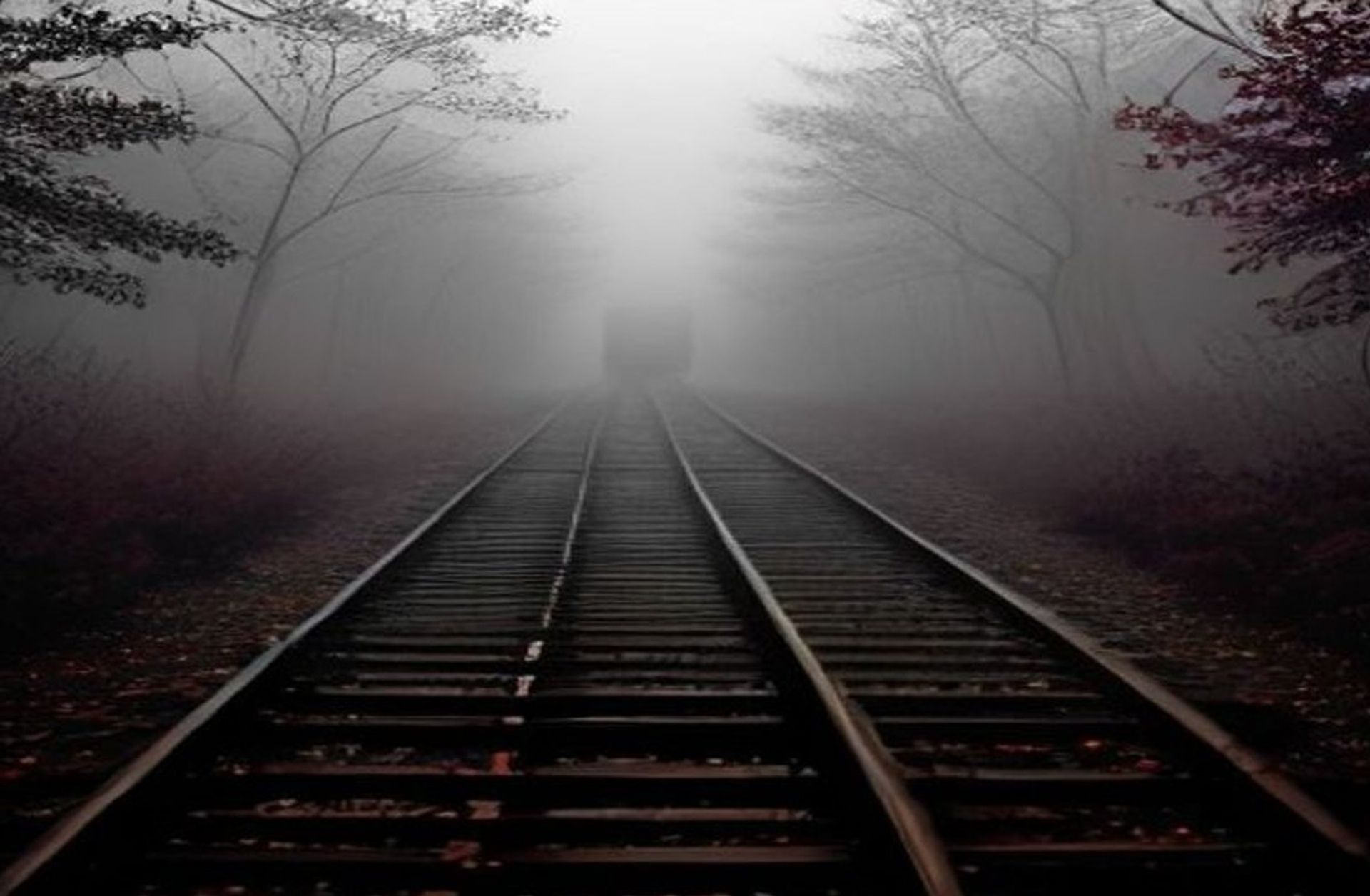 Vías de tren perdiéndose en un bosque brumoso, atmósfera nostálgica de pueblo chico norteamericano de los años cincuenta