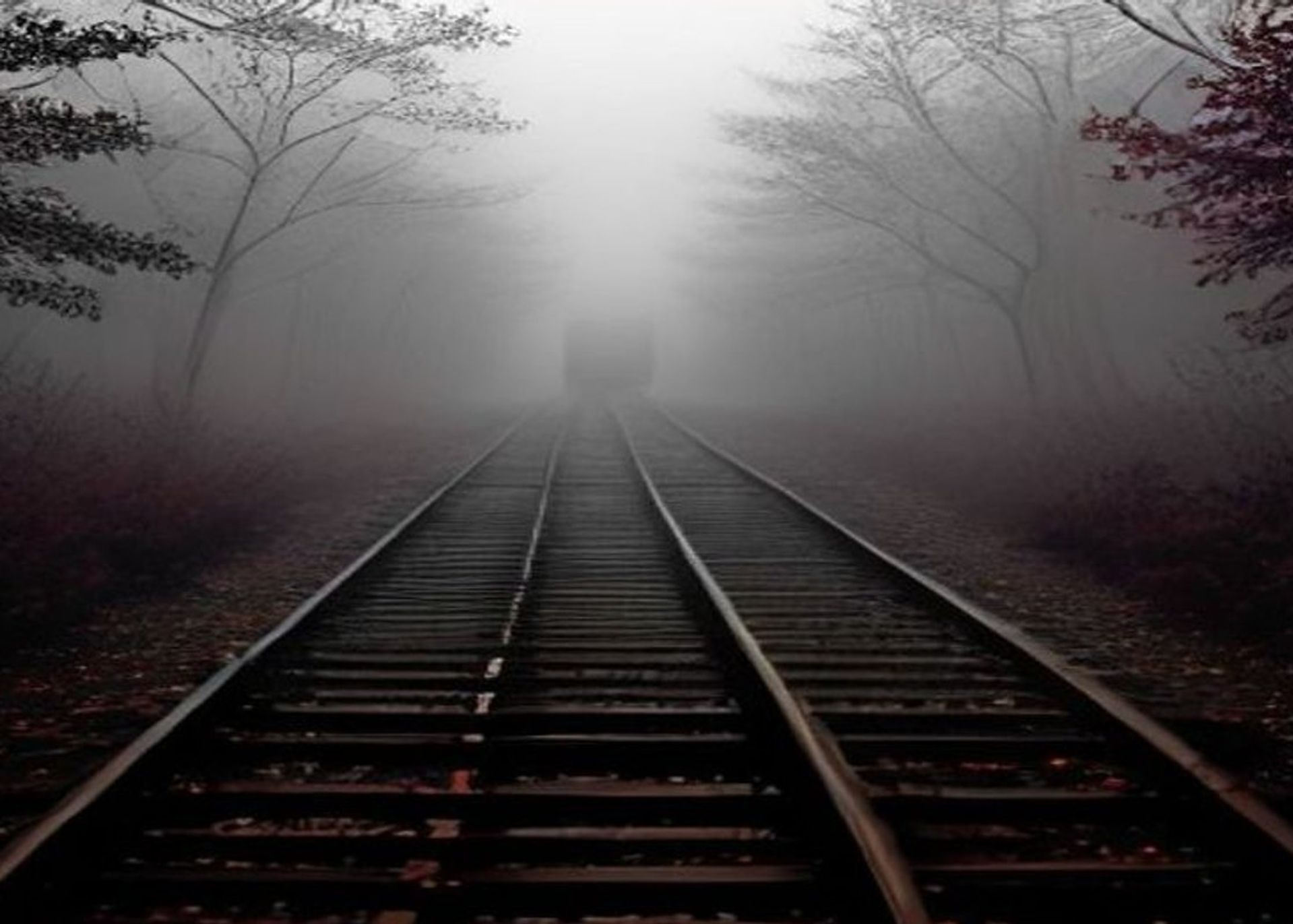 Vías de tren perdiéndose en un bosque brumoso, atmósfera nostálgica de pueblo chico norteamericano de los años cincuenta