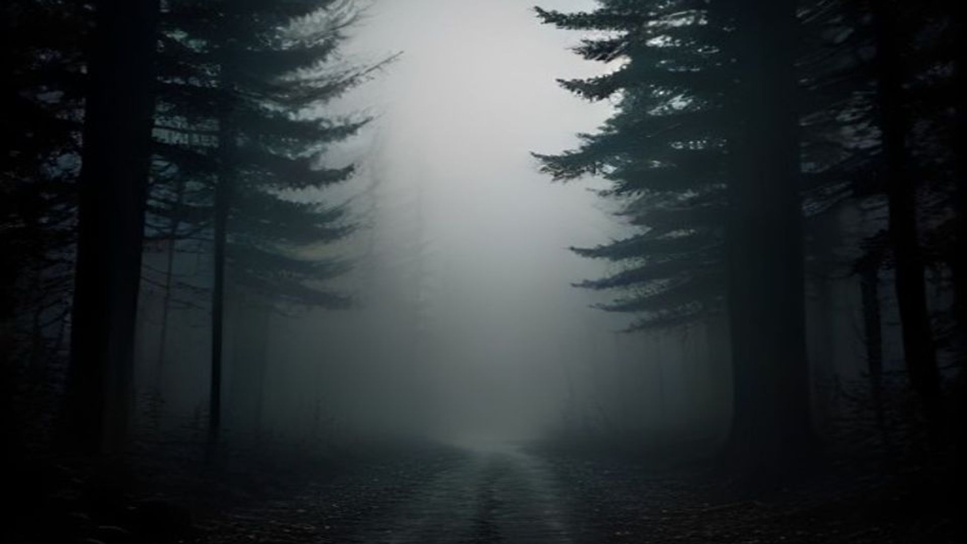Sendero de tierra que se interna en un bosque de pinos al anochecer, con niebla densa