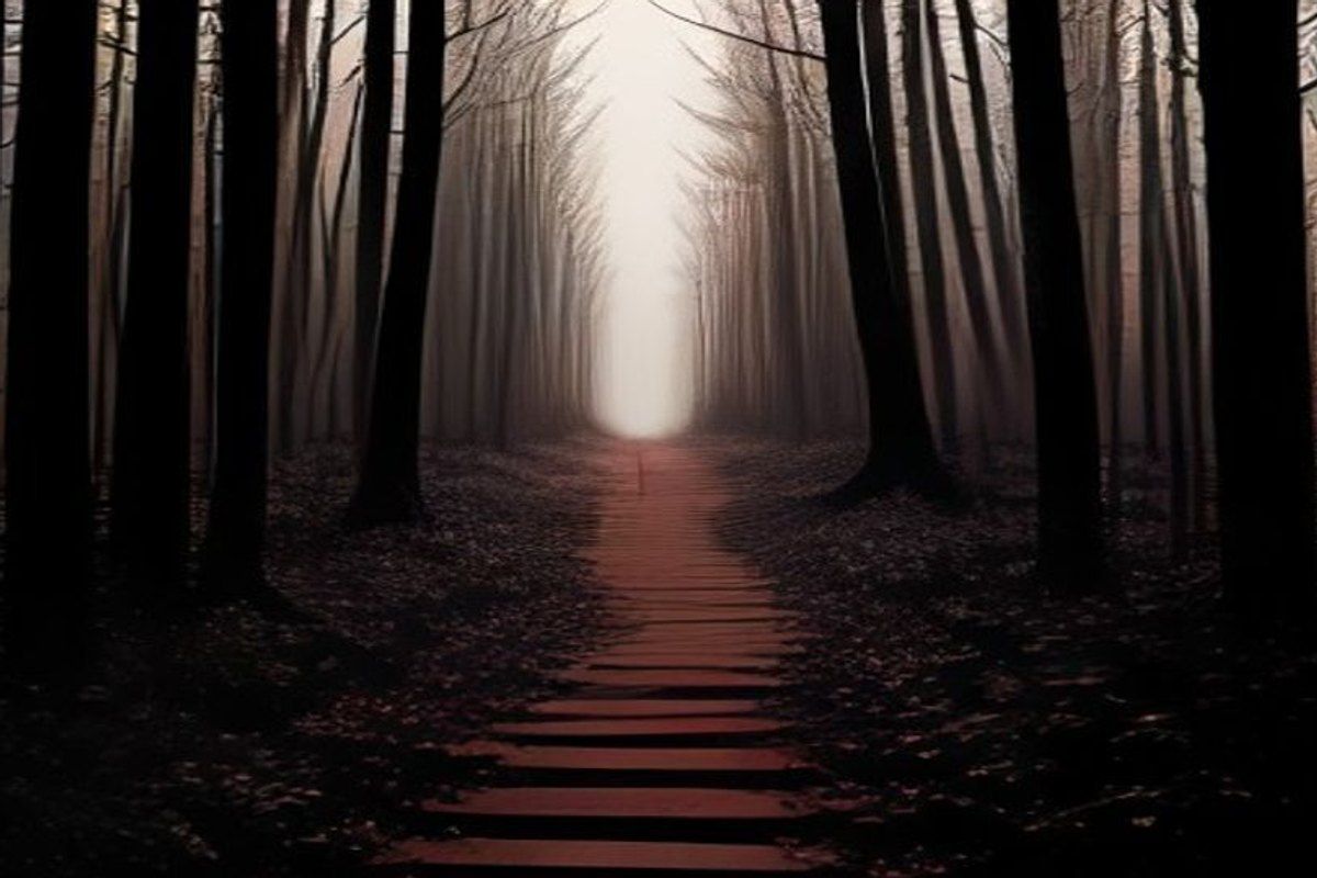 Sendero de tierra que se interna en un bosque de pinos al anochecer, con niebla densa