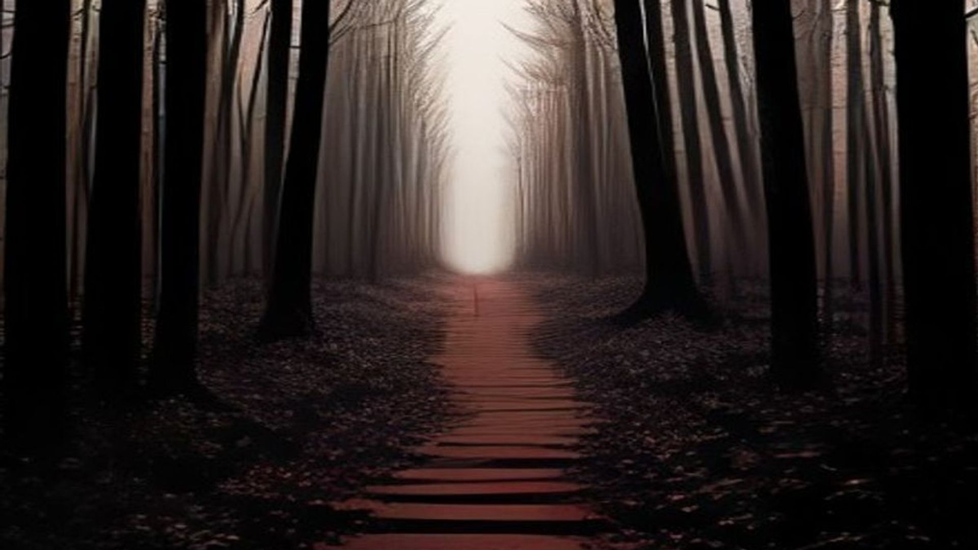 Sendero de tierra que se interna en un bosque de pinos al anochecer, con niebla densa